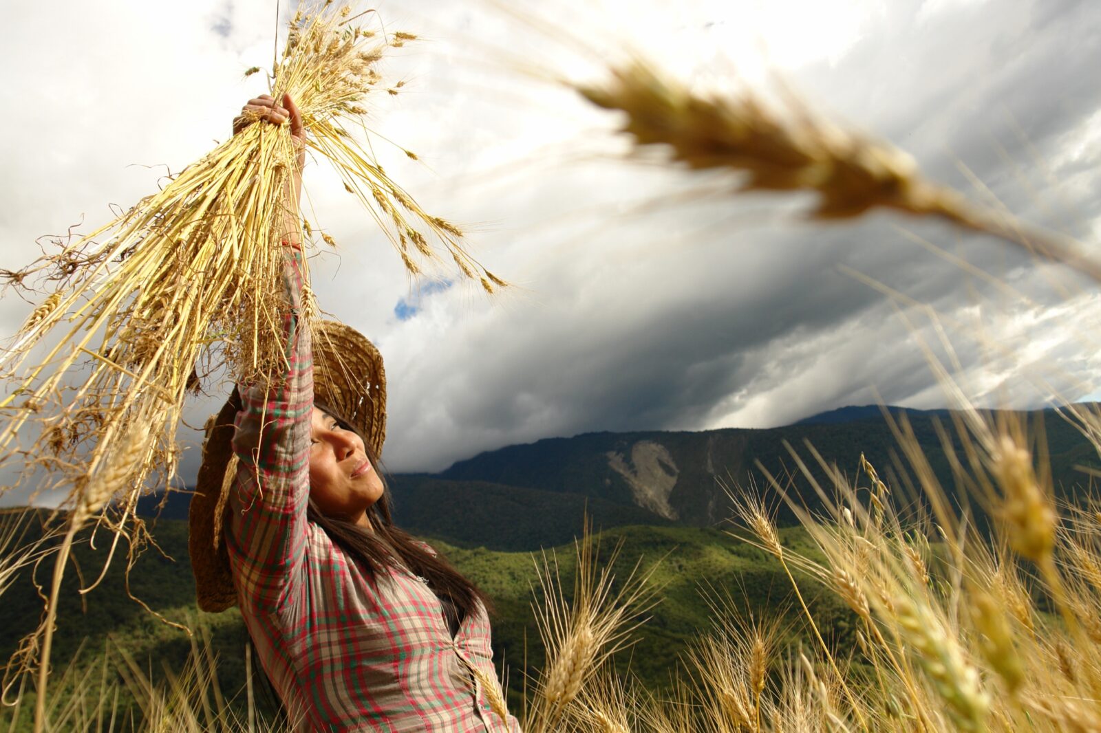 Fotografía 1 de la serie Agrocultoras, de Pablo Krisch